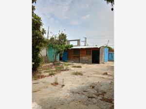 Terreno en venta en San Pablo Etla, San Pablo Etla — foto 2 de 8