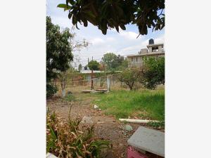 Terreno en venta en San Pablo Etla, San Pablo Etla — foto 3 de 8