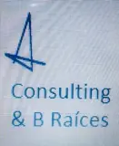 Logotipo de Consulting & Training