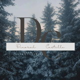 Logotipo de Dinorah Ibet Castillo Arriaga