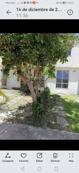 Casa en venta en Los Laureles, Xochitepec — foto 2 de 10