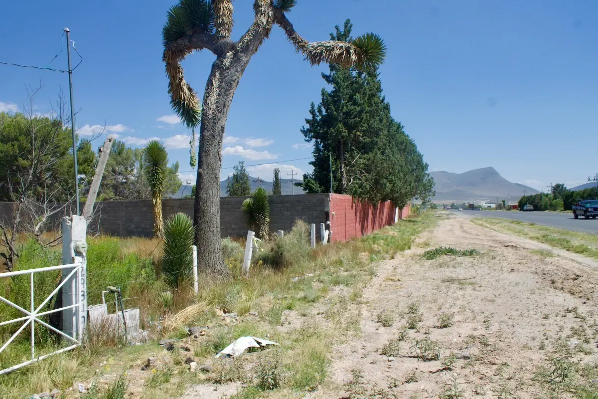 Terreno en renta en Agua Nueva, Saltillo — foto 1 de 20