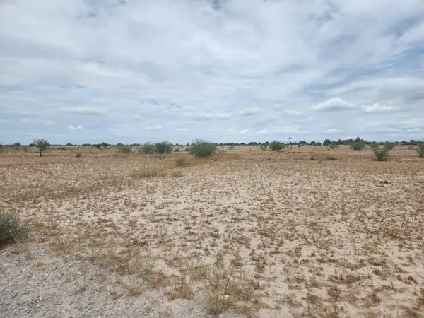 Terreno en venta en Hormiguero, Matamoros — foto 2 de 3