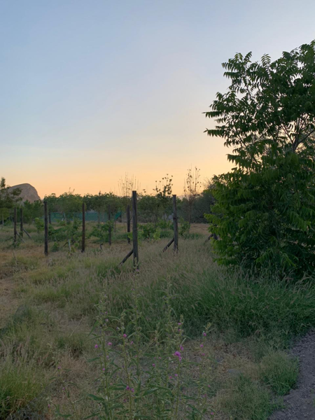 Finca-Rancho en venta en Monterrey, Lerdo — foto 3 de 17