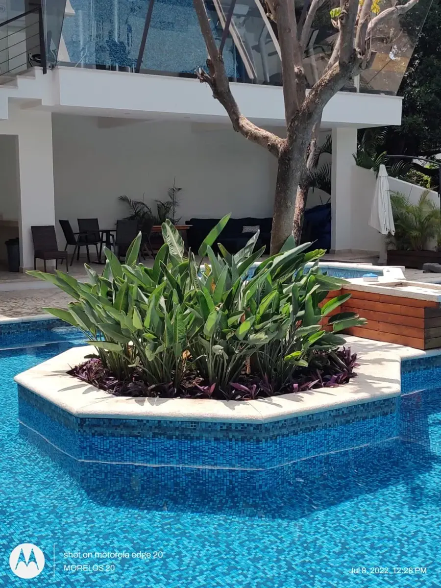 Departamento en venta en Acapatzingo, Cuernavaca — foto 1 de 15
