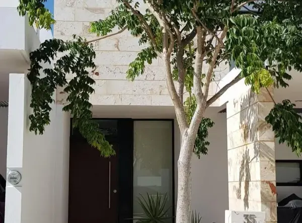 Casa en renta en Santa Gertrudis Copo, Mérida — foto 3 de 19