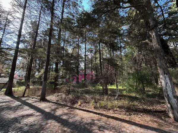 Terreno en venta en Bosque de Cuauhyocan, Amozoc — foto 2 de 11
