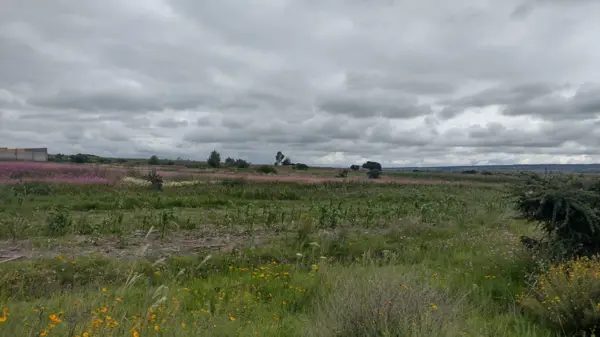 Terreno en venta en San Pablo Potrerillos, San Juan del Río — foto 2 de 10