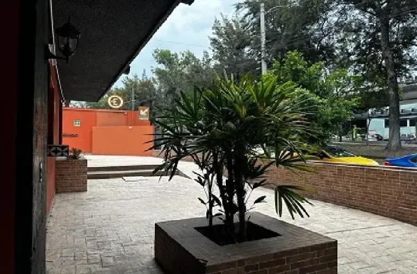 Local en renta en Colomos Providencia, Guadalajara — foto 3 de 20