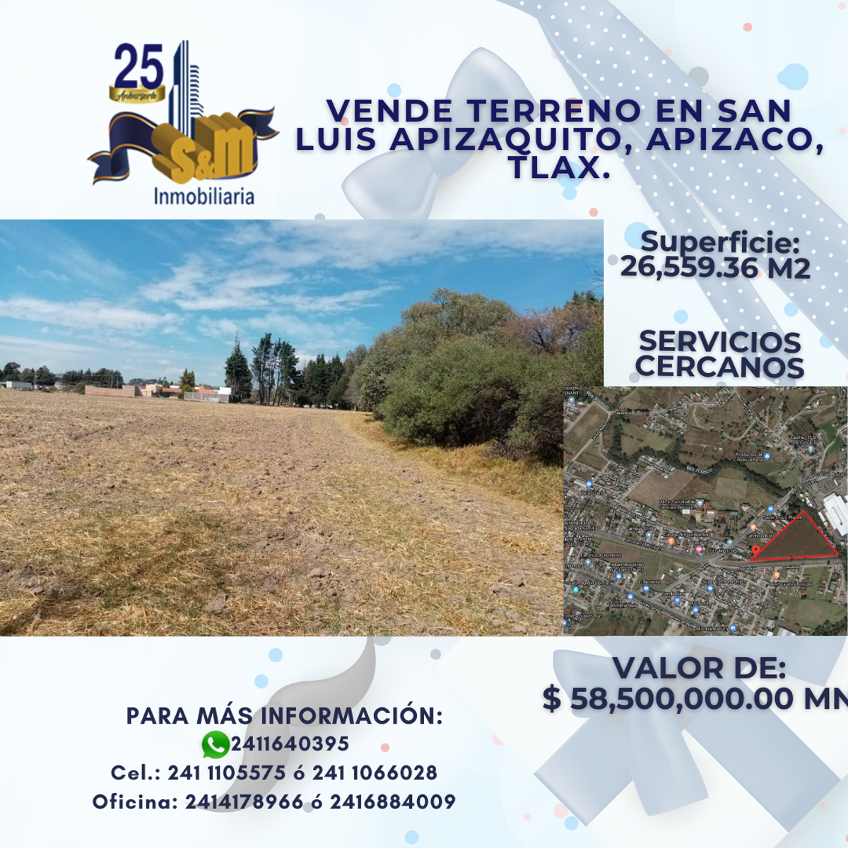 Terreno en venta en San Luis Apizaquito, Apizaco — foto 1 de 14