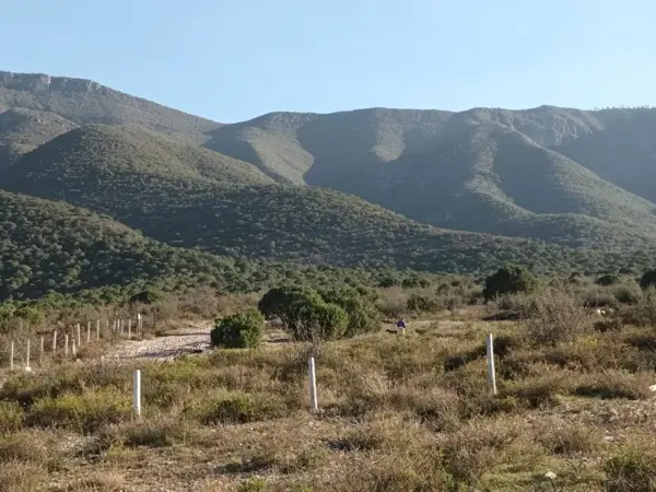 Terreno en venta en Nueva Imagen, Saltillo — foto 3 de 6