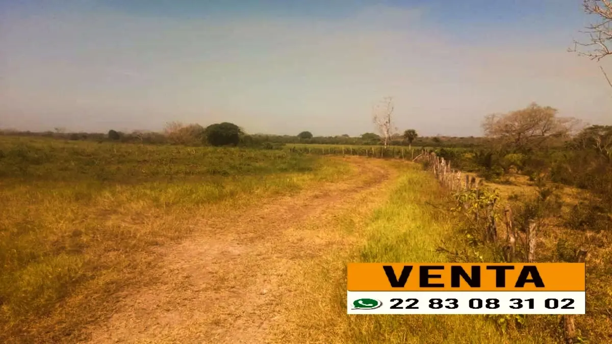 Terreno en venta en Paso del Toro, Medellín de Bravo — foto 1 de 2