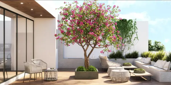Departamento en venta en Napoles, Benito Juárez — foto 3 de 17