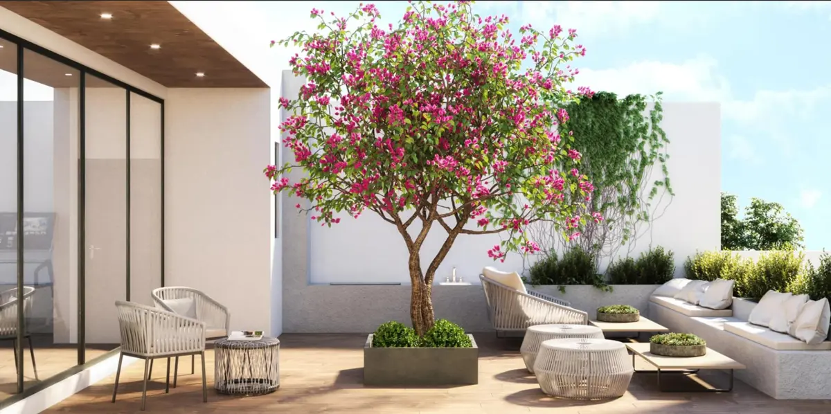 Departamento en venta en Napoles, Benito Juárez — foto 1 de 17