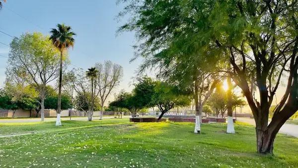 Terreno en venta en Las Trojes, Torreón, Coahuila de Zaragoza Terreno en venta en Las Trojes, Torreón, Coahuila de Zaragoza