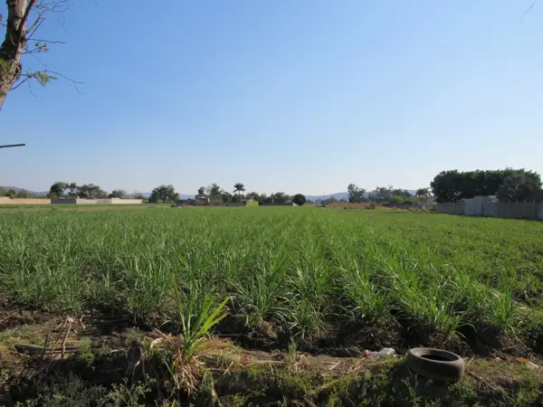 Terreno en venta en Tabachines, Yautepec — foto 2 de 9
