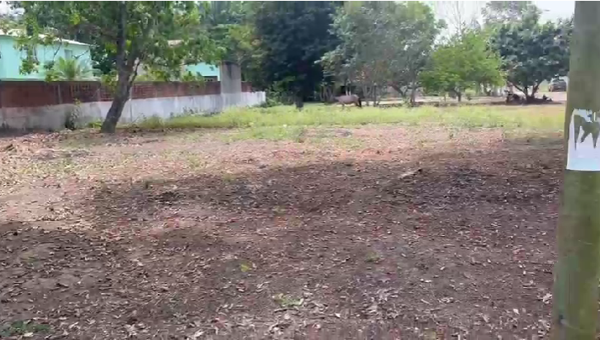 Terreno en venta en Playa de Vacas, Medellín de Bravo — foto 2 de 3