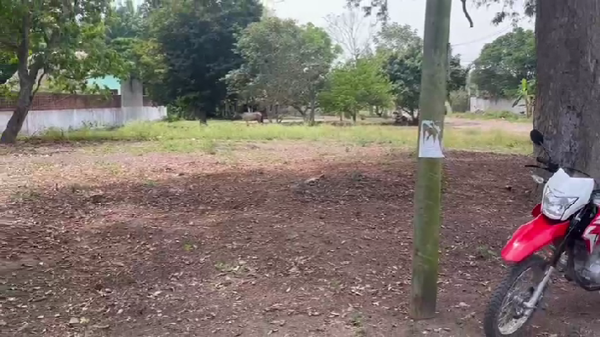 Terreno en venta en Playa de Vacas, Medellín de Bravo — foto 3 de 3