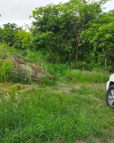 Terreno en venta en El Lencero, Emiliano Zapata — foto 2 de 7