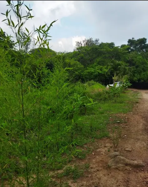 Terreno en venta en El Lencero, Emiliano Zapata — foto 3 de 7