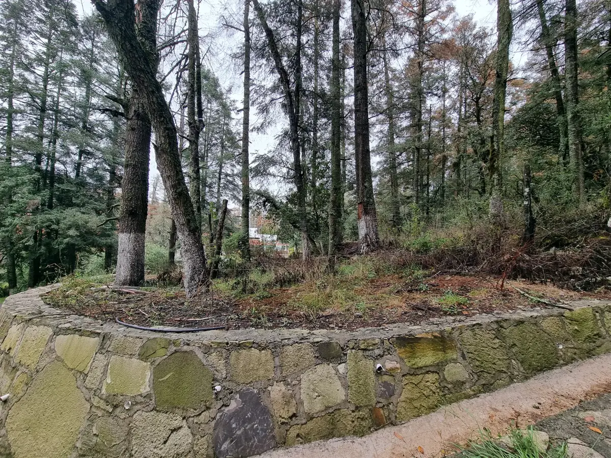 Terreno en venta en Bosques de San Cayetano, Mineral del Monte — foto 1 de 5