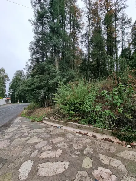 Terreno en venta en Bosques de San Cayetano, Mineral del Monte — foto 3 de 5