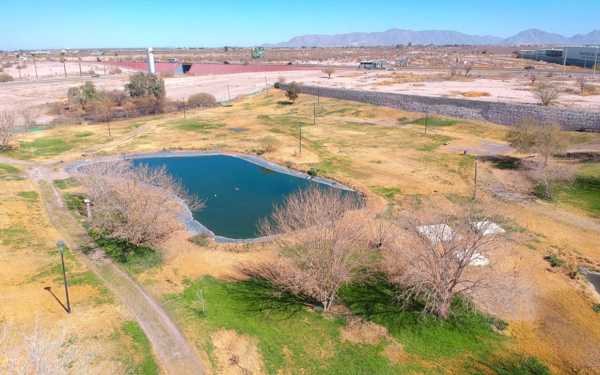 Terreno en venta en Villas del Renacimiento, Torreón — foto 3 de 13