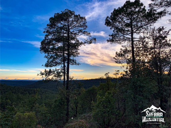 Terreno en venta en Echeverría de la Sierra, Durango — foto 2 de 6