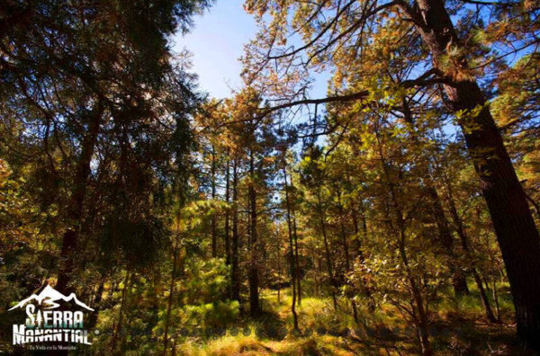 Terreno en venta en Echeverría de la Sierra, Durango — foto 3 de 6