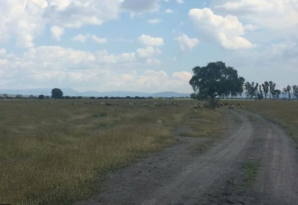 Terreno en venta en Rancho San Luis, San Luis de la Paz — foto 2 de 10