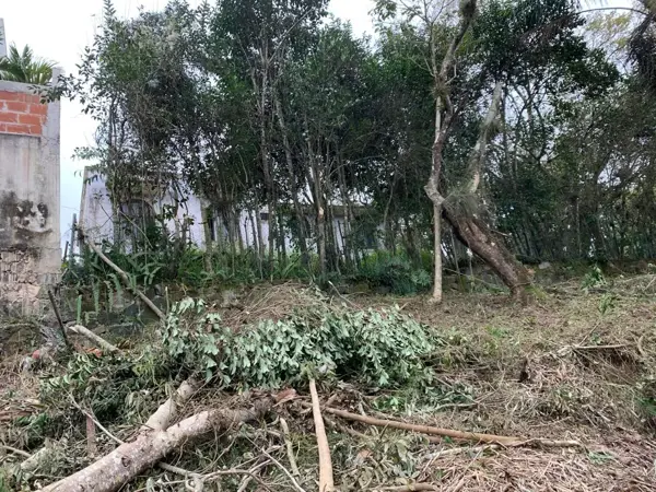 Terreno en venta en El Porvenir, Xalapa — foto 3 de 4