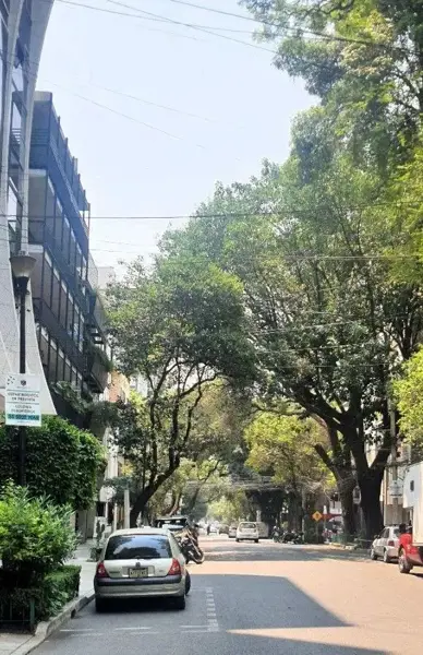 Departamento en renta en Cuauhtemoc, Cuauhtémoc — foto 2 de 20