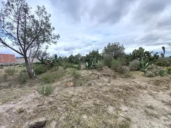 Terreno en venta en El Nopalillo, Epazoyucan — foto 3 de 9