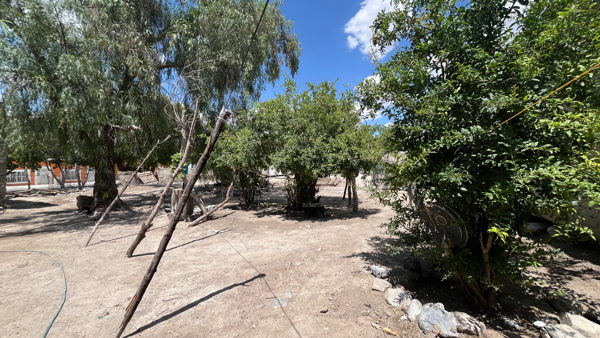 Terreno en venta en Parras de la Fuente Centro, Parras — foto 2 de 10