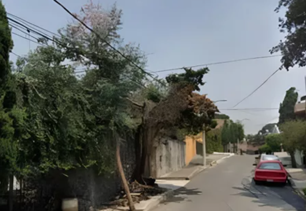 Casa en venta en Primavera, Tlalpan — foto 3 de 35