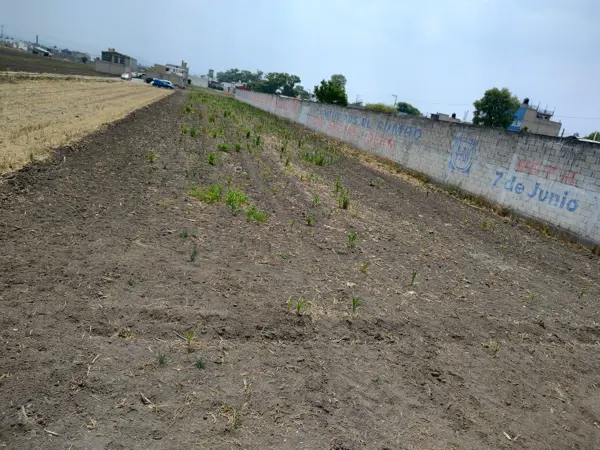 Terreno en venta en San Gaspar Tlahuelilpan, Metepec — foto 3 de 3