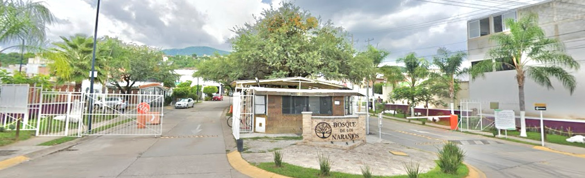 Imagen 1