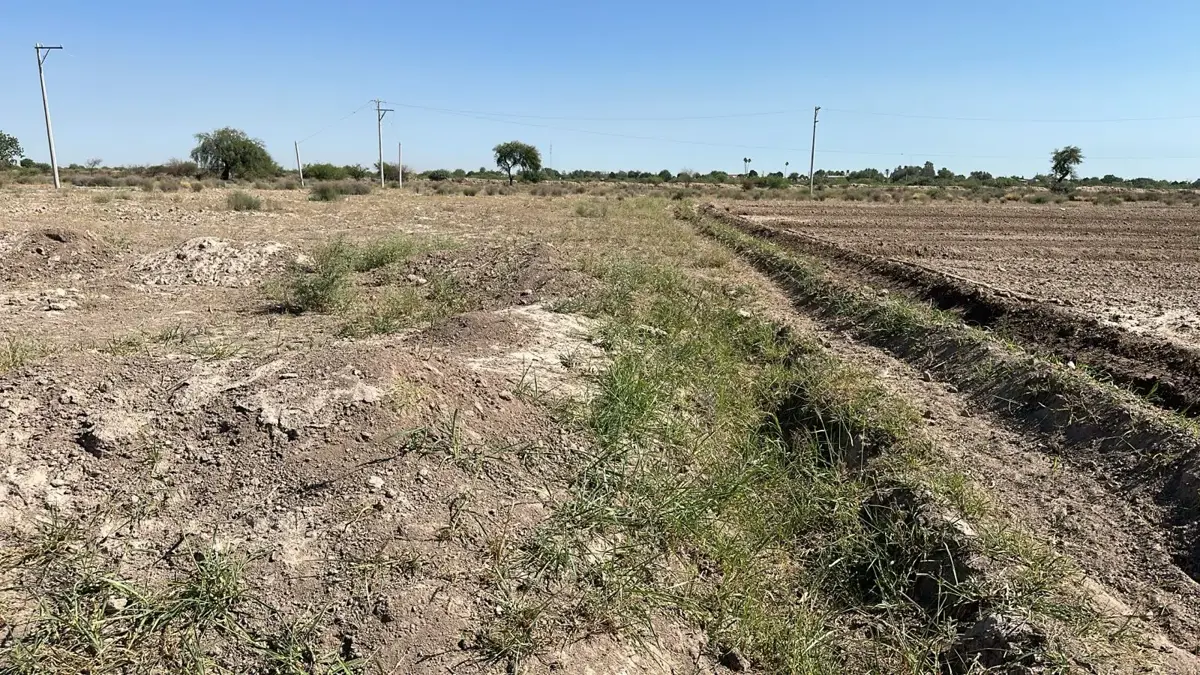 Terreno en Venta en Hormiguero, Matamoros, Coahuila de Zaragoza Terreno en Venta en Hormiguero, Matamoros, Coahuila de Zaragoza