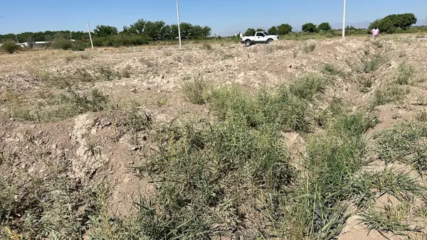 Terreno en venta en Hormiguero, Matamoros — foto 2 de 9