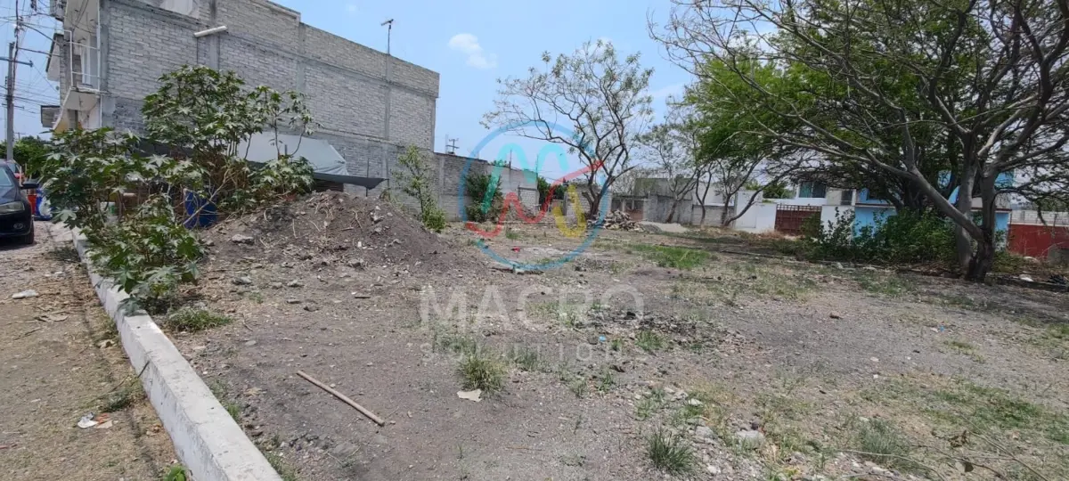Imagen 2