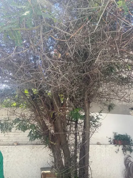 Casa en venta en Tejeda, Corregidora — foto 2 de 20