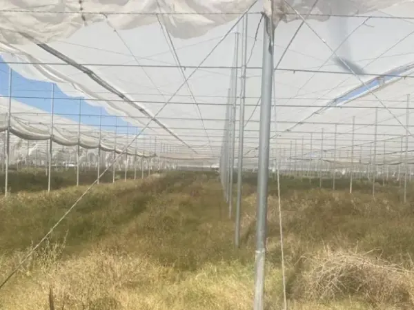 Terreno en venta en Tlahualilo de Zaragoza Centro, Tlahualilo — foto 2 de 5