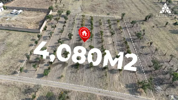 Terreno en venta en Huejotzingo Centro, Huejotzingo — foto 3 de 4