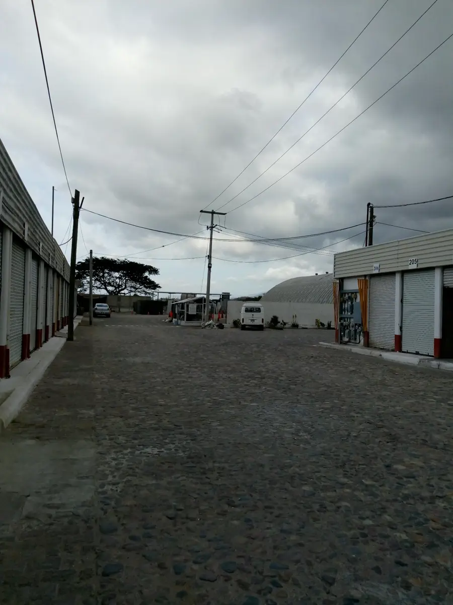 Imagen 5