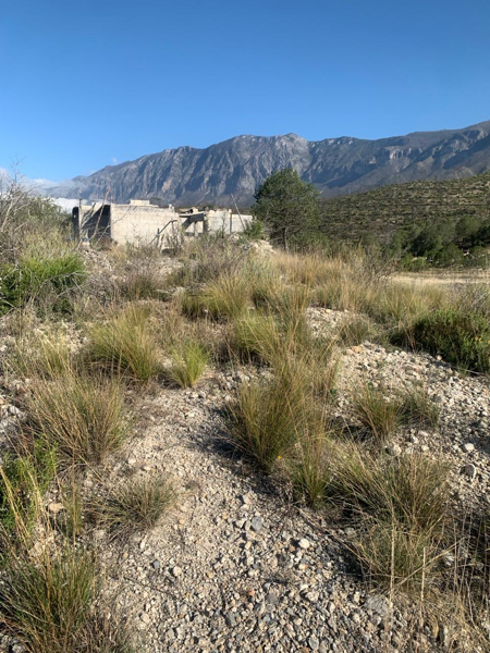 Terreno en venta en San José del Vergel, Arteaga — foto 3 de 5