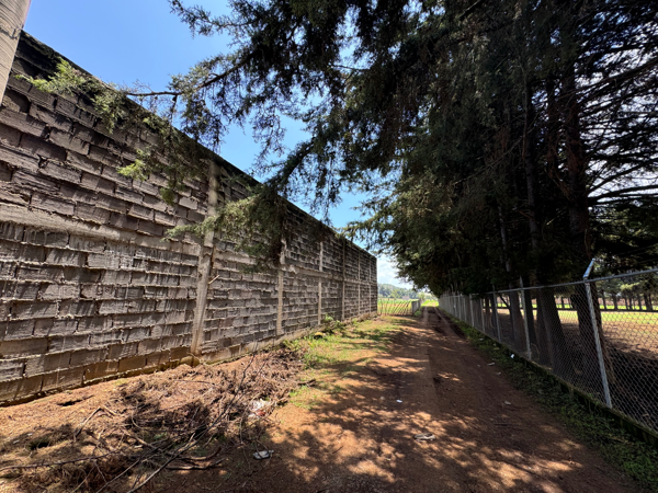Terreno en venta en El Mirador, Pátzcuaro — foto 3 de 12