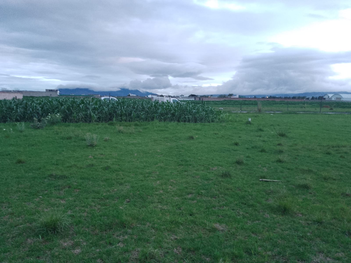 Terreno en venta en San Miguel Totocuitlapilco, Metepec