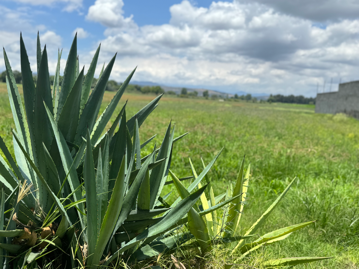 Terreno en venta en Paraíso Escondido Etapa I, II y III, Tarímbaro — foto 1 de 12