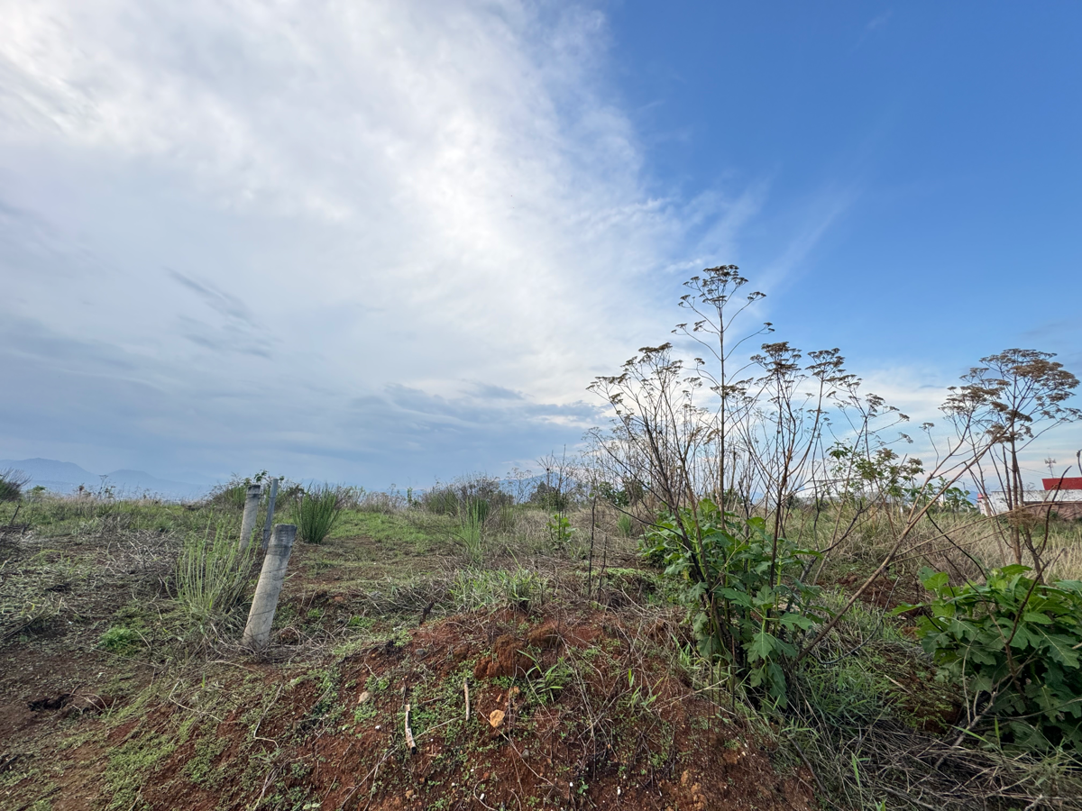 Terreno en venta en La Loma, Uruapan — foto 1 de 8