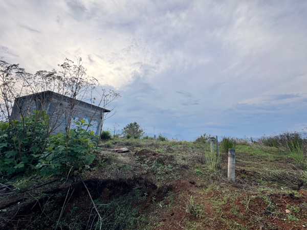 Terreno en venta en La Loma, Uruapan — foto 3 de 8